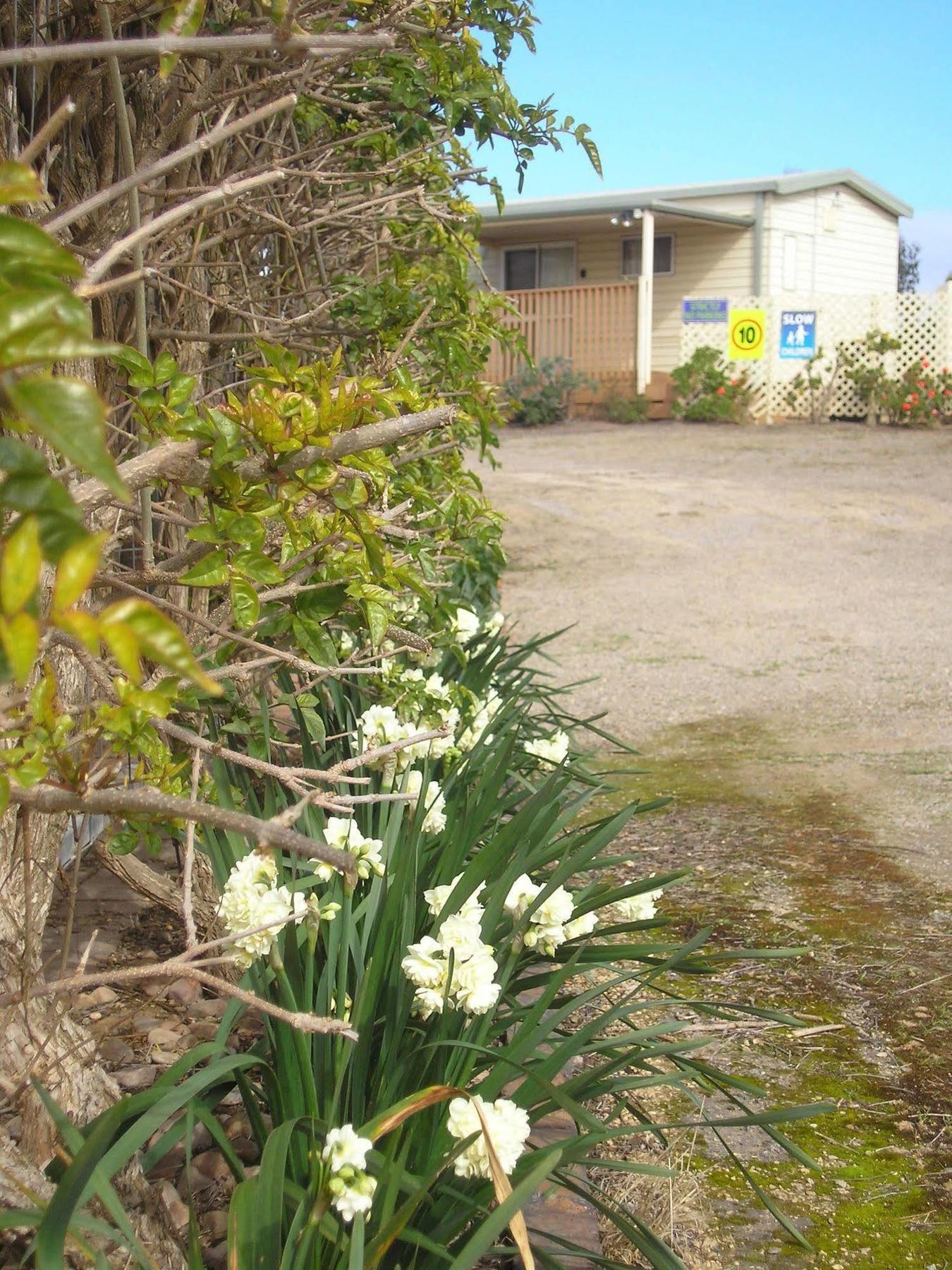 Moonta Bay Accommodation Port Moonta Luaran gambar